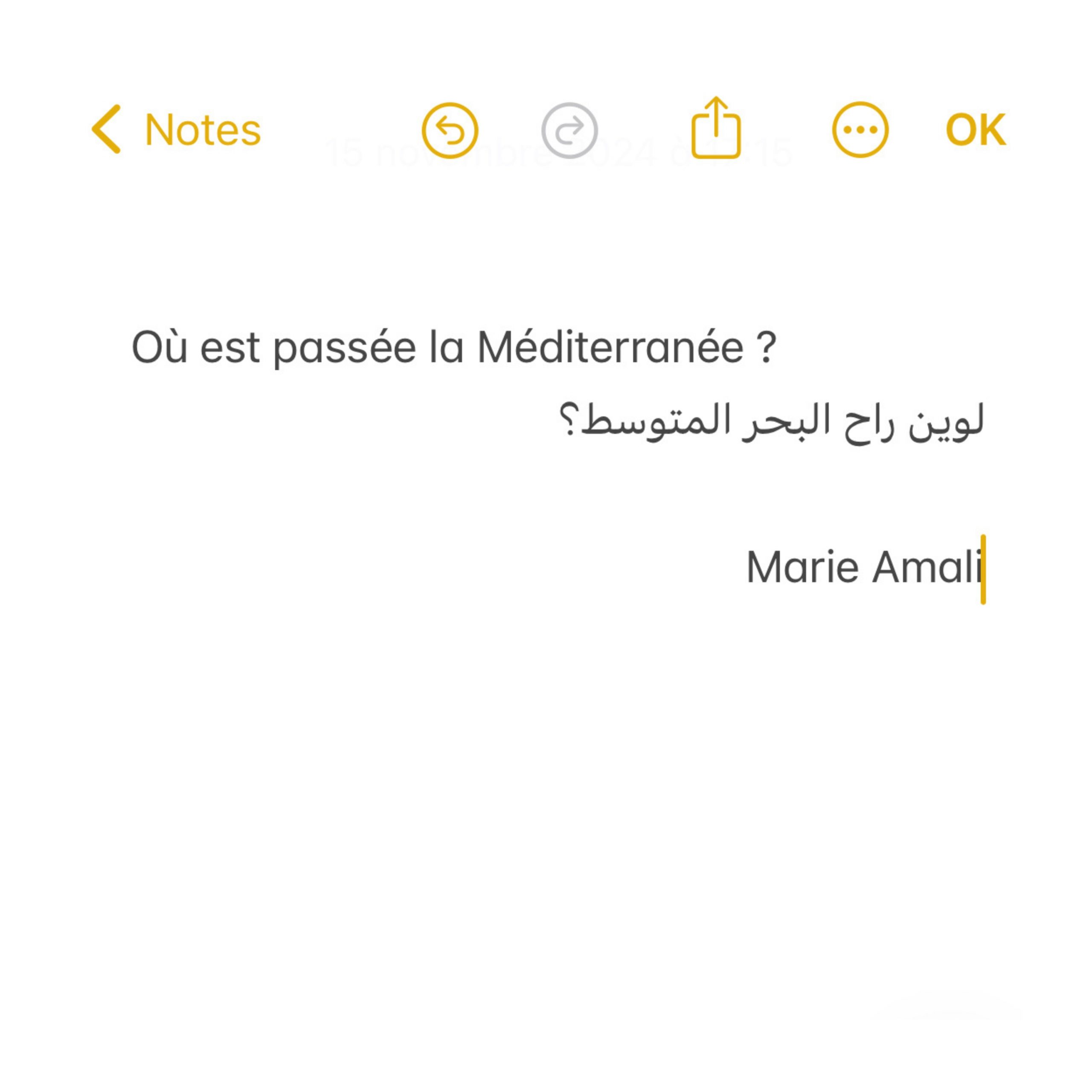 2024 - Où est passée la Méditerranée - single